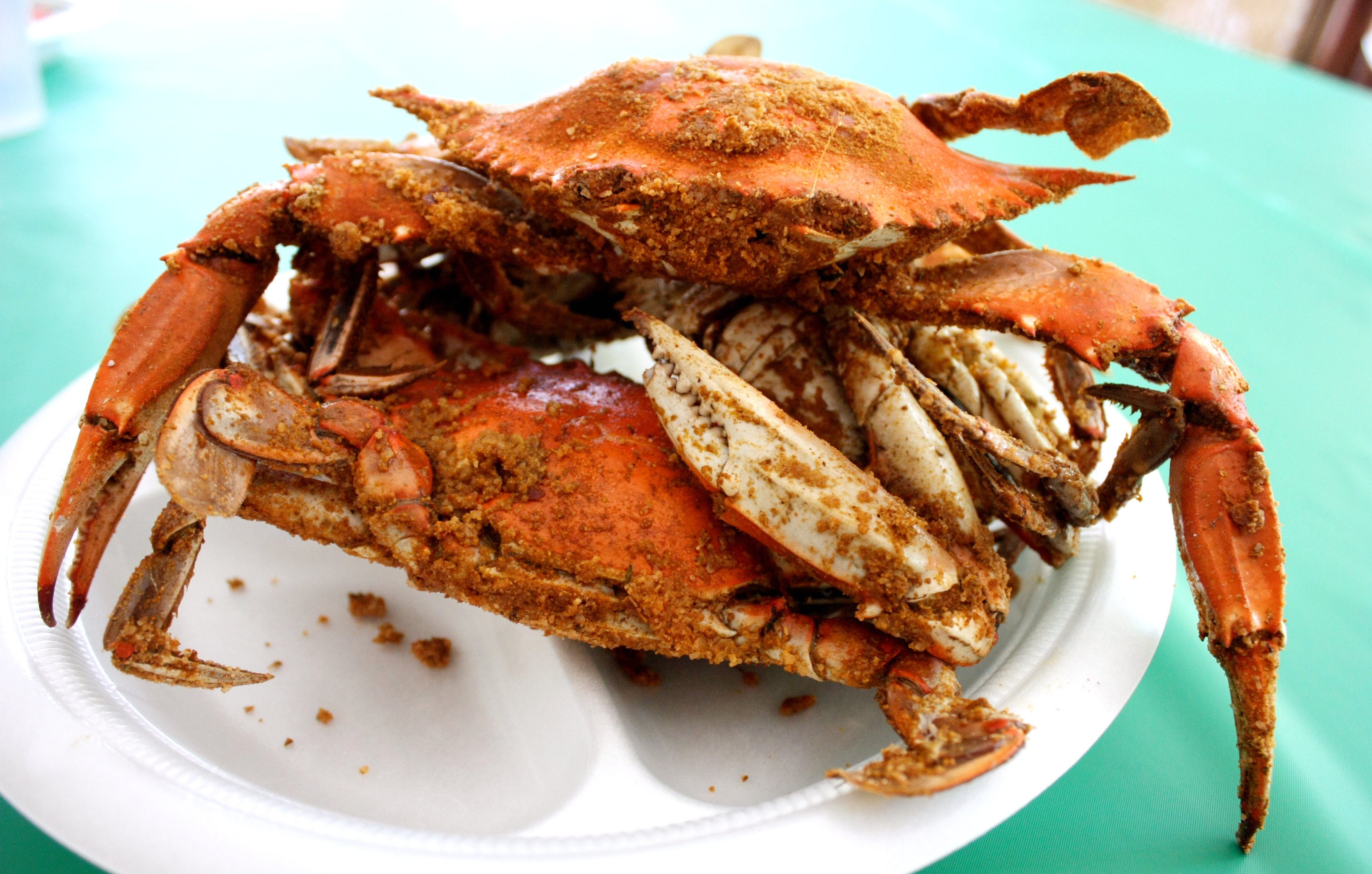 How To Cook A Proper Blue Crab Feast - Food Republic