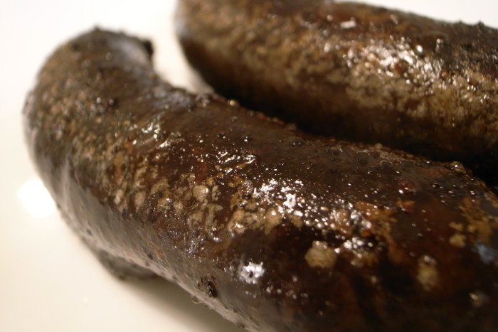 can dogs eat blood sausage