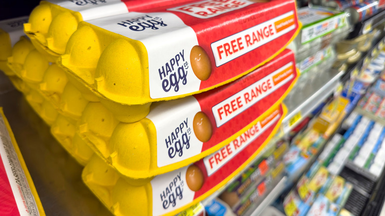 Cartons of Happy Egg Co eggs