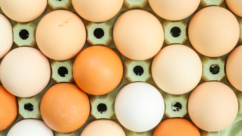 Various colors of eggs in opened carton