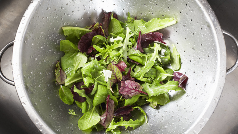 Fresh mesclun in a colander