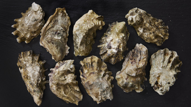 whole oysters on a black background