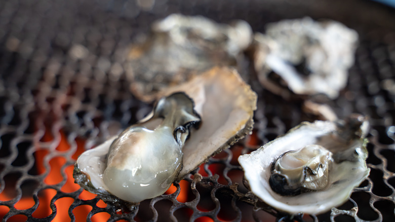 oysters being roasted over a grill