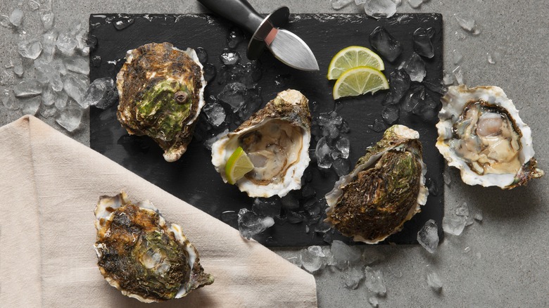 oysters being shucked on a black cutting board