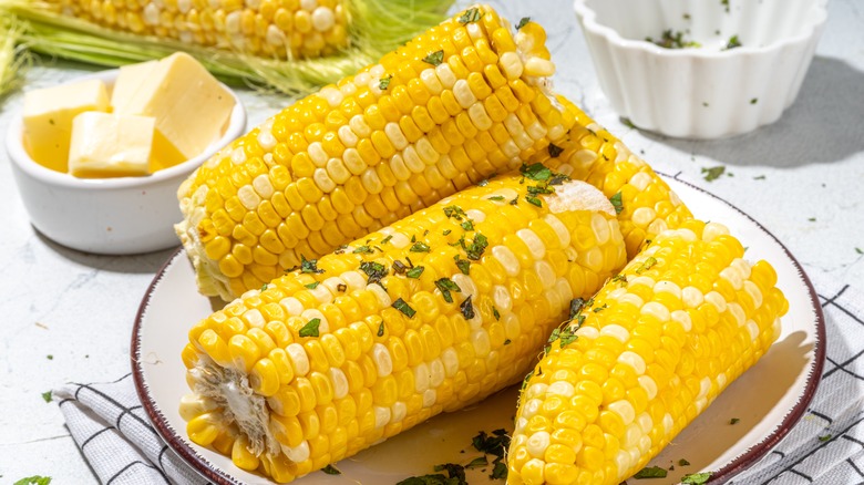 Plate of buttered corn cobs