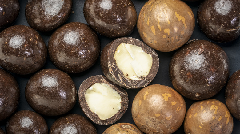 chocolate covered macadamia nuts