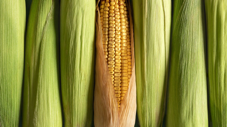 un-shucked corn