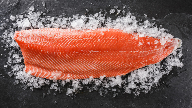 whole side of raw salmon on ice