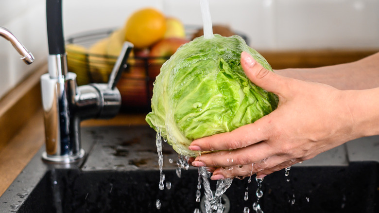 washing cabbage in sink