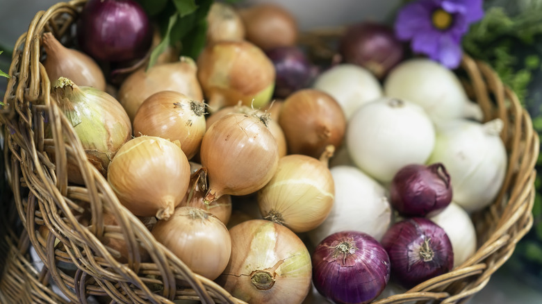 variety of onions in basket