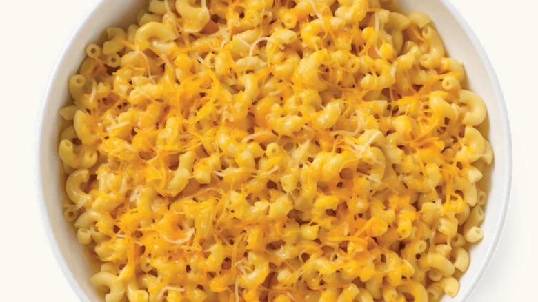 Noodles & Company macaroni