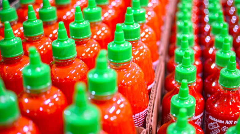 rows of Sriracha sauce bottles