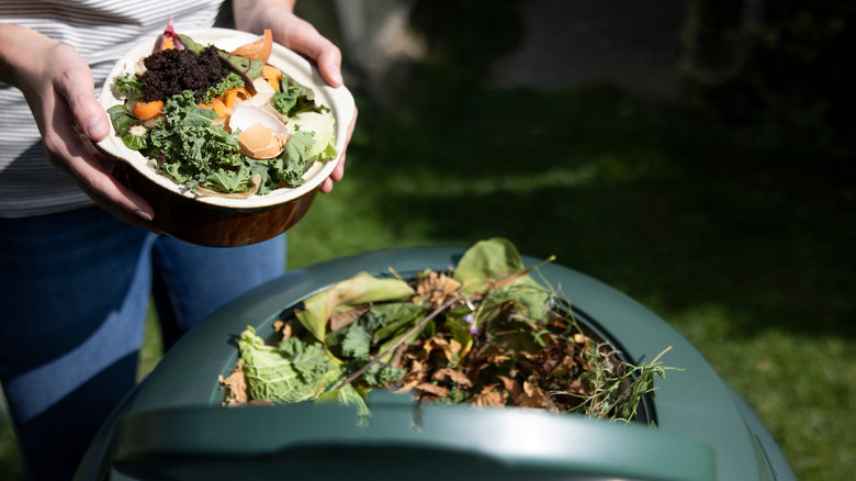 egg shells in compost