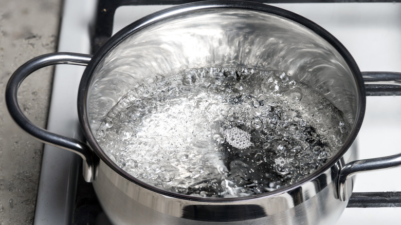 Water boiling in stainless steel pot