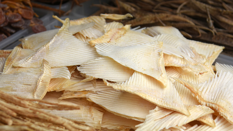 pile of dried shark fins