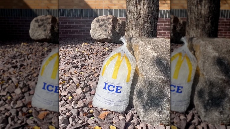 Bag of McDonald's ice