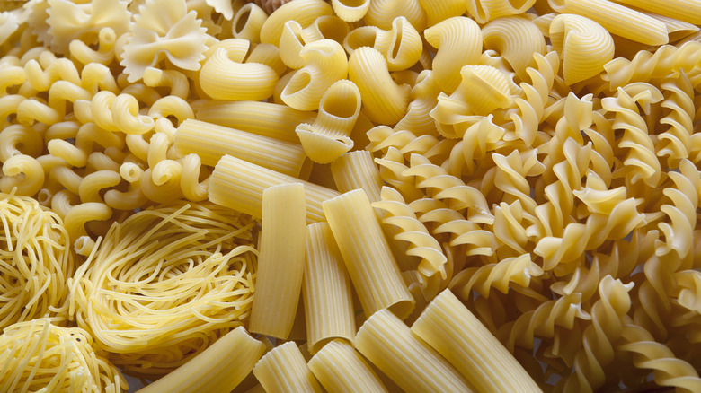 different pasta shapes