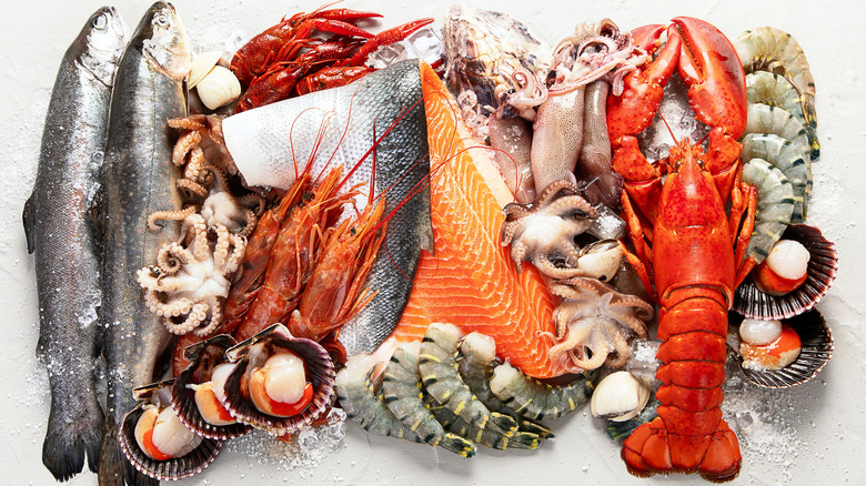 Assortemnt of fresh raw seafood