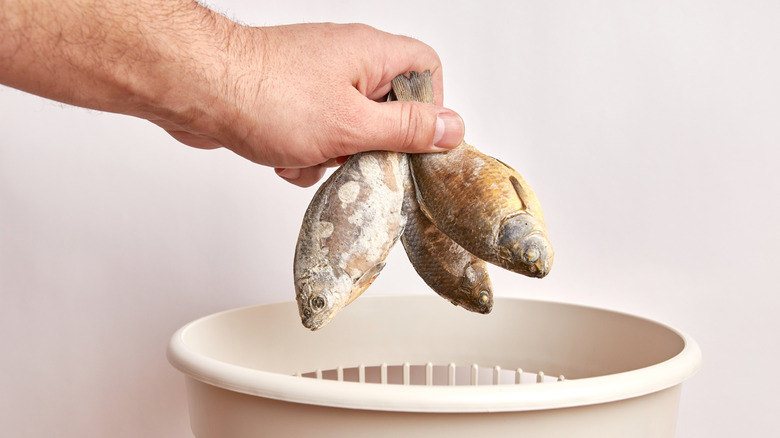 Dull-looking fish being thrown in trash