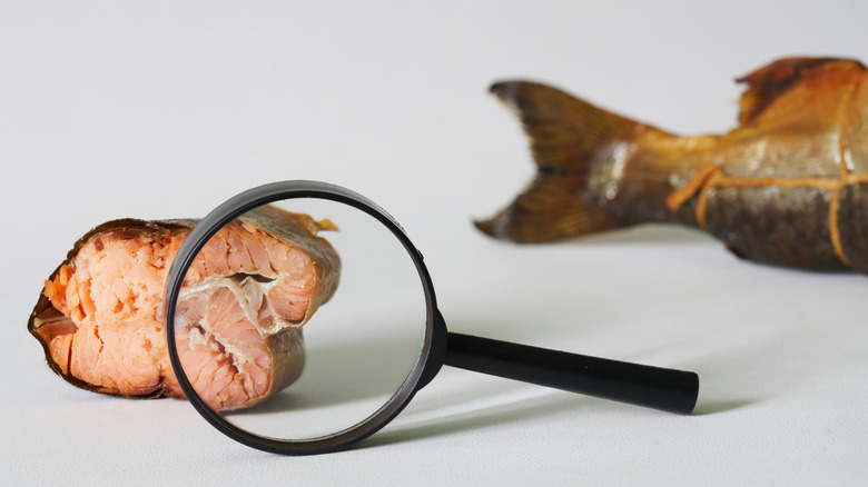 Magnifying glass in front of fish meat