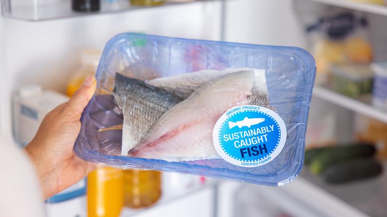 Hands removing sustainable fresh fish from fridge