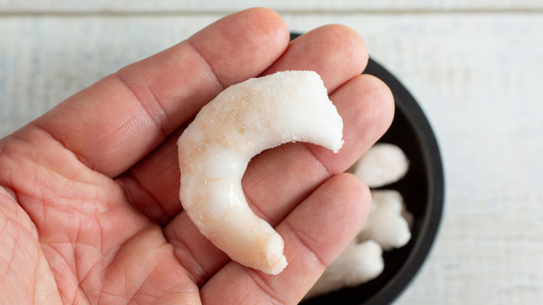 Hand holding shrimp with freezer burn