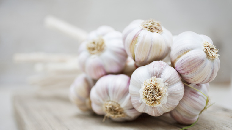bundle of garlic