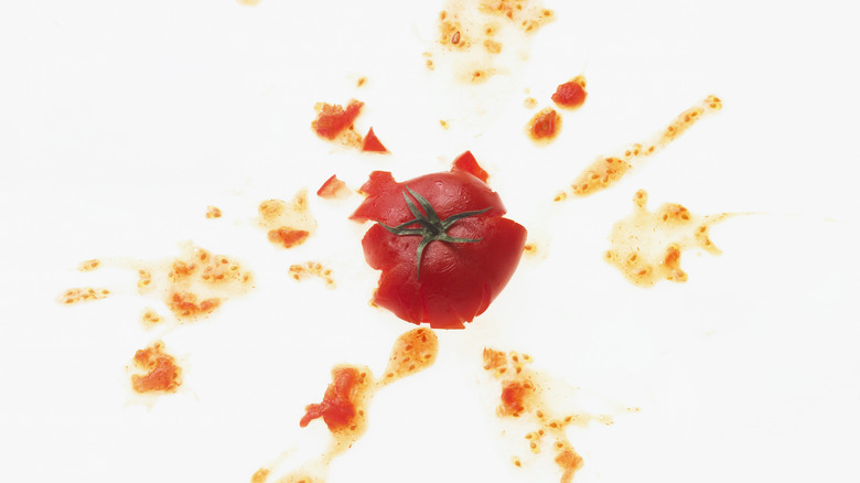 thrown, splattered tomato on a white background