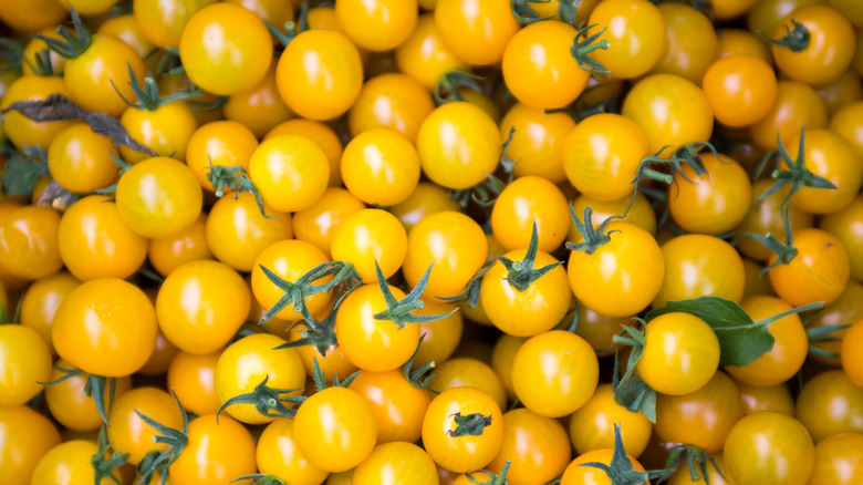 pile of yellow tomatoes with stems attached
