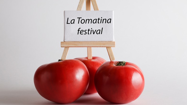 participants at La Tomatina gathering tomatoes