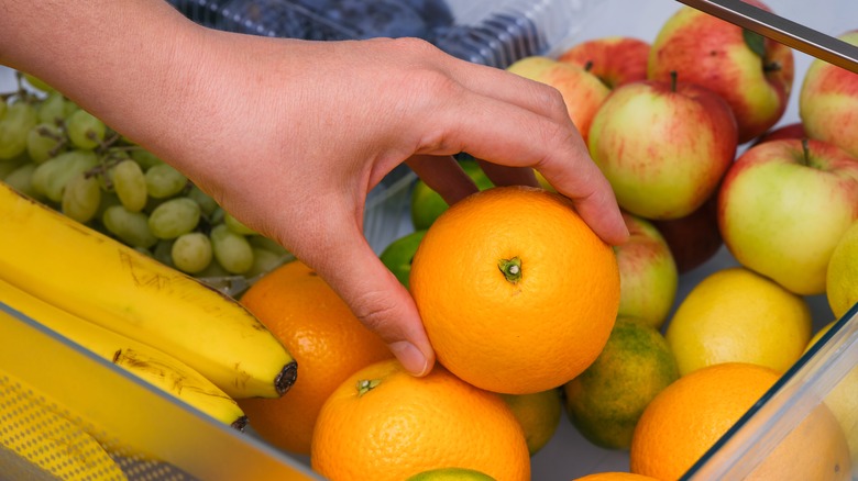hand in refrigerator fruit drawer