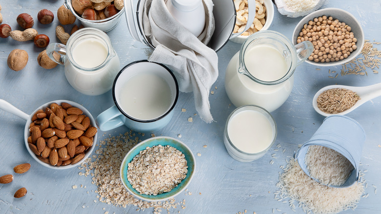 Selection of alternative milks and their ingredients