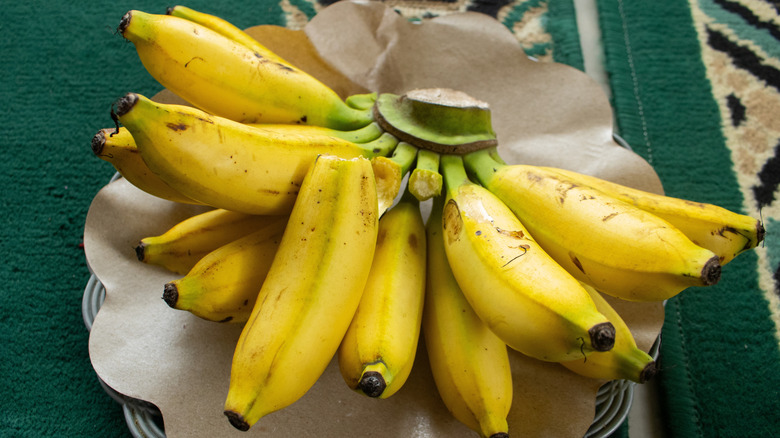 Bunch of Apple bananas on brown paper