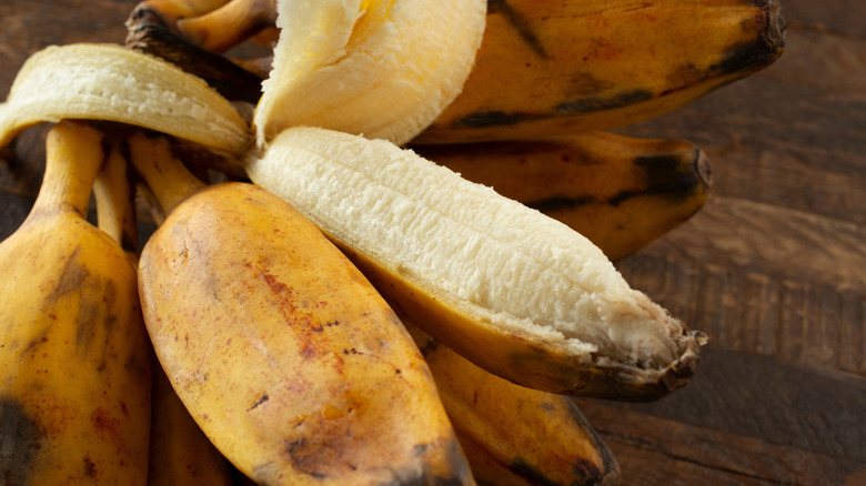 Bunch of Burro bananas with one partially peeled