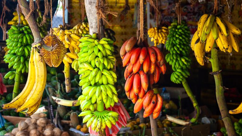 Different types of bananas on display in a market