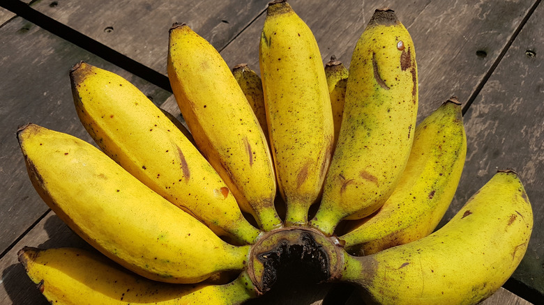 Bunch of Pisang Raja bananas