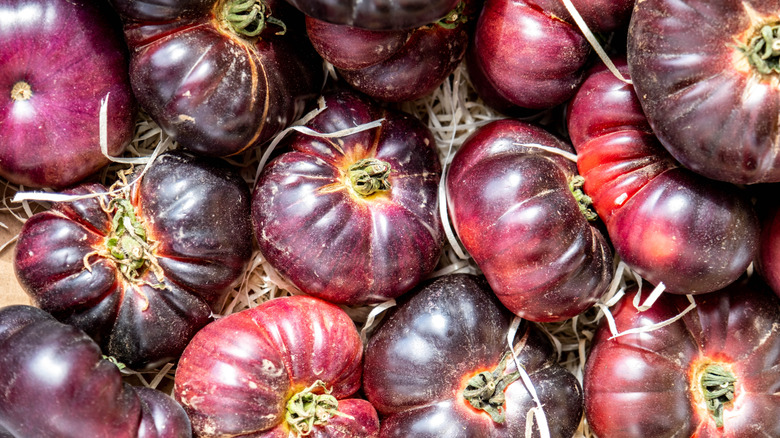 Pile of Cherokee Purple tomatoes