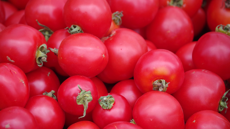 Mound of Early Girl tomatoes