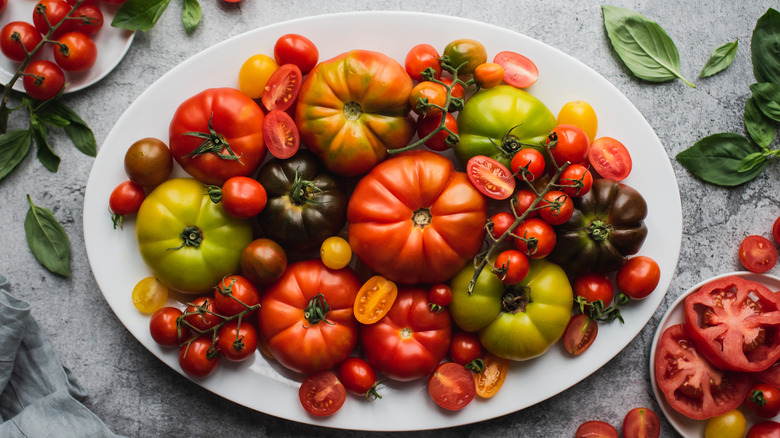 Platter full of different types of tomatoes