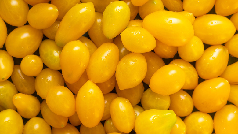 Yellow Teardrop tomatoes