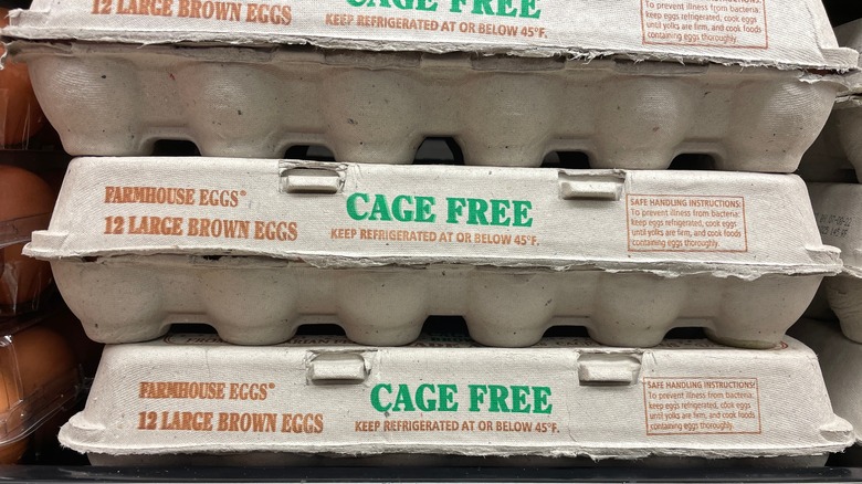 cartons of cage free eggs