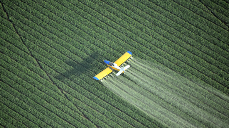 crop duster plane flying over field