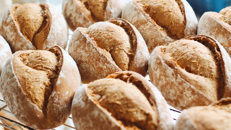 rye bread loaves