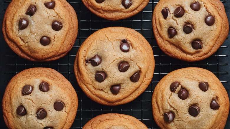 Nestle Toll House cookies