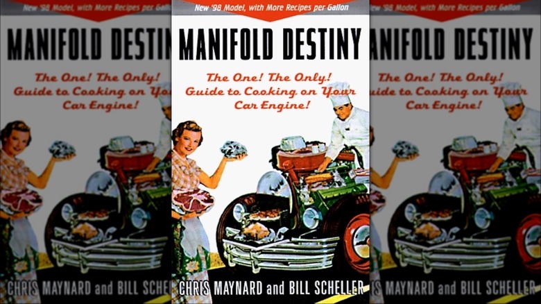 Manifold Destiny book cover