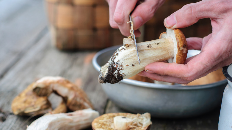 Person knife-cleaning mushroom