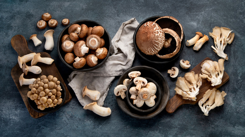 Various types of mushrooms