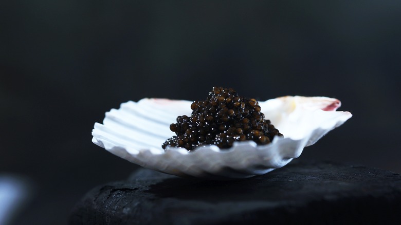 black caviar in a shell
