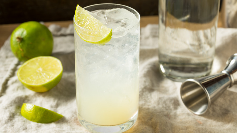 Lime gin rickey cocktail