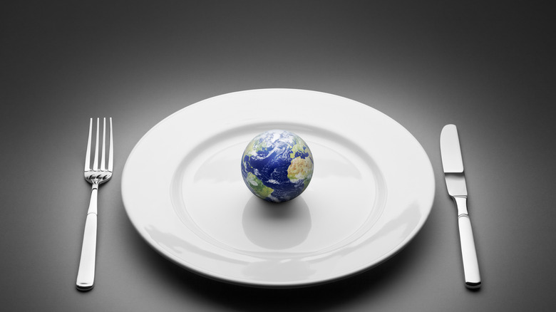 dinner plate with globe